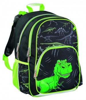 Школьный рюкзак Hama DINO Динозавр 